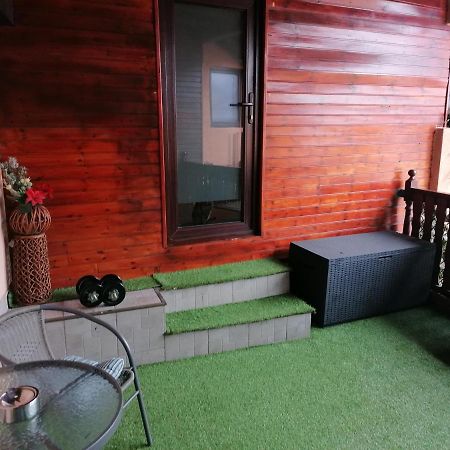 Cozy Attic Studio ブラショフ エクステリア 写真