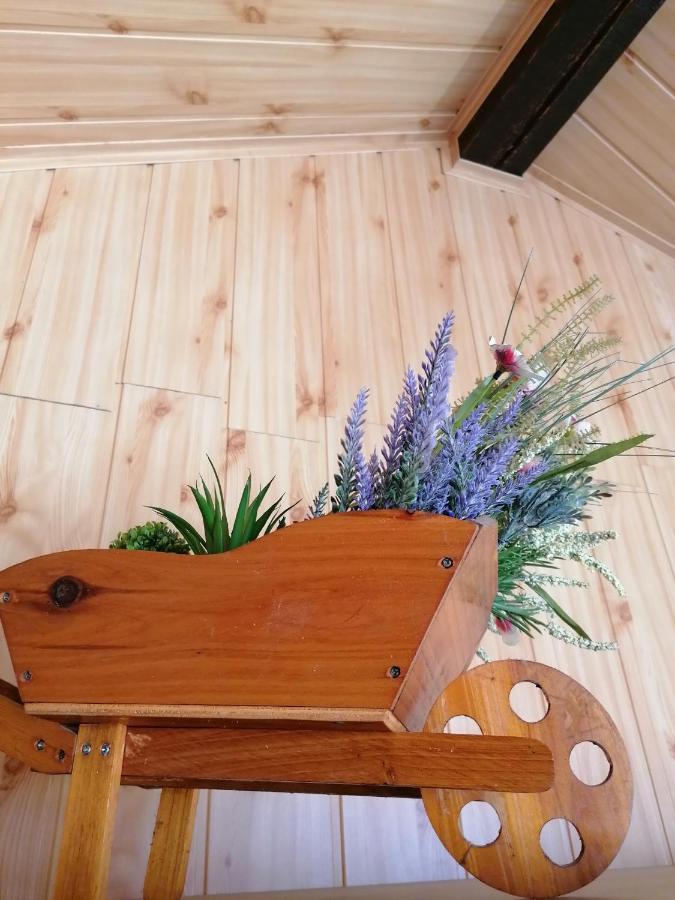Cozy Attic Studio ブラショフ エクステリア 写真