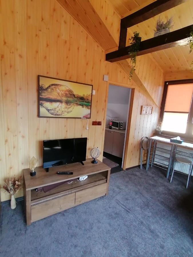Cozy Attic Studio ブラショフ エクステリア 写真