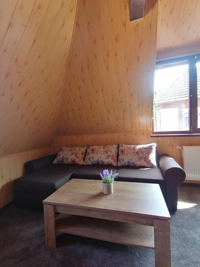 Cozy Attic Studio ブラショフ エクステリア 写真