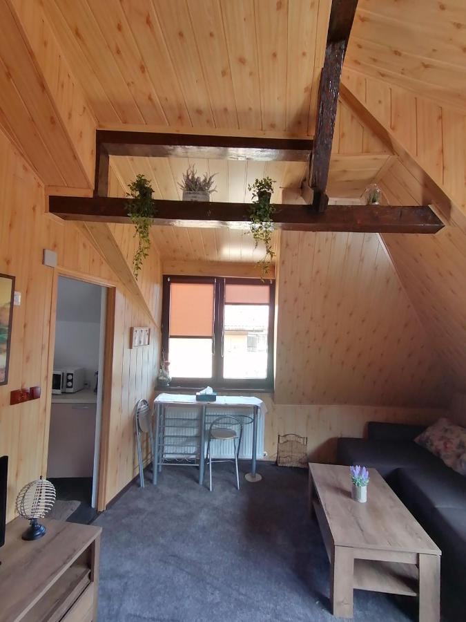 Cozy Attic Studio ブラショフ エクステリア 写真