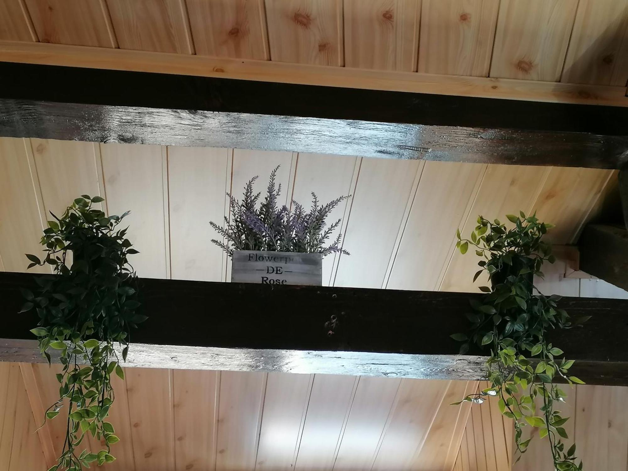 Cozy Attic Studio ブラショフ エクステリア 写真