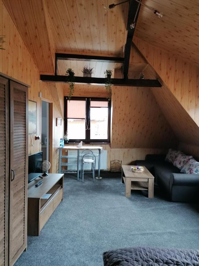 Cozy Attic Studio ブラショフ エクステリア 写真