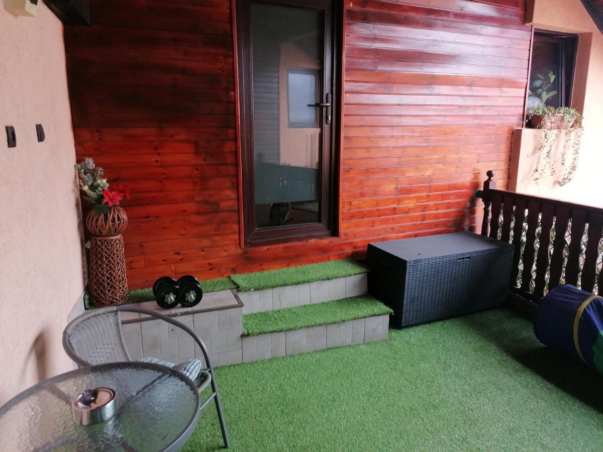 Cozy Attic Studio ブラショフ エクステリア 写真