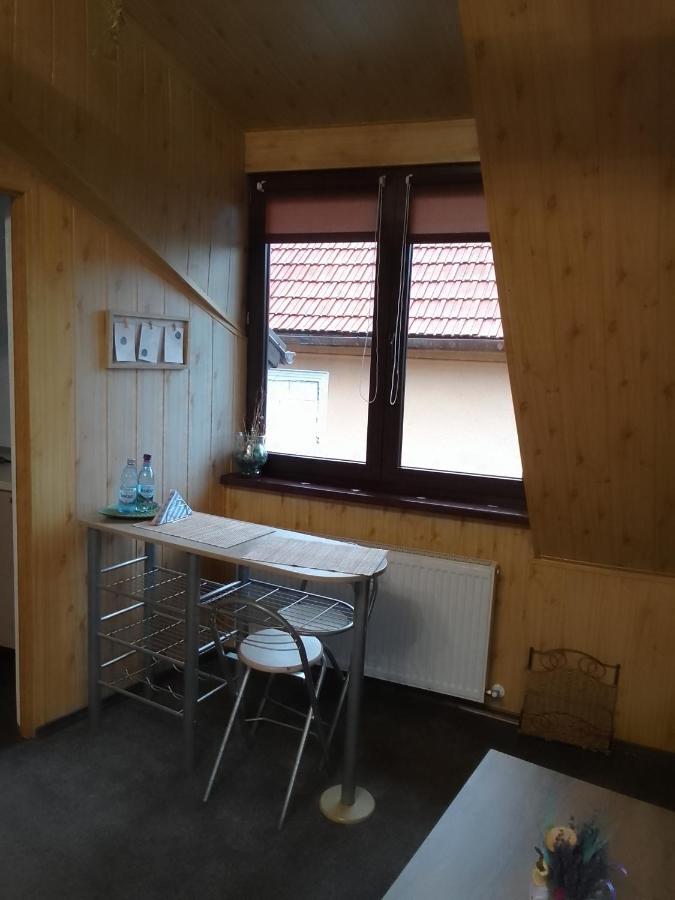 Cozy Attic Studio ブラショフ エクステリア 写真